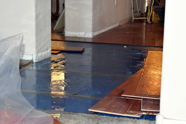 Professional Sewage Cleanup technician working in Denmark, ME
